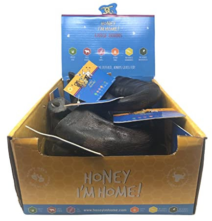Honey I'm Home, Large Buffalo Horn Hard Dog Chew, 10 Piece Bulk Box - All Natural, Free Range, Healthy, Grain Free & Honey Coated