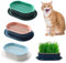 FENGQQKJ 3 Stück Katzengras Pflanzgefäß Katzenminze Katzengras Box Hydrokultur Katzengras Box Katzengras Tablett Katzengras Behälter Katzengras für Zimmerkatzen zum Pflanzen von Katzengras