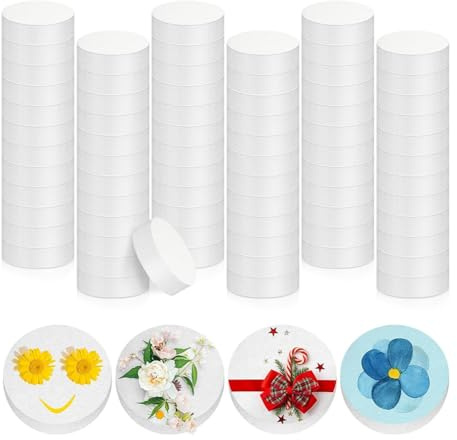 Barfeery 72Pcs 3 Inch Foam Circles 1 Inch Thick Round Polystyrene Discs White Foam Cylinders Foam Blocks for Crafts Modeling DIY