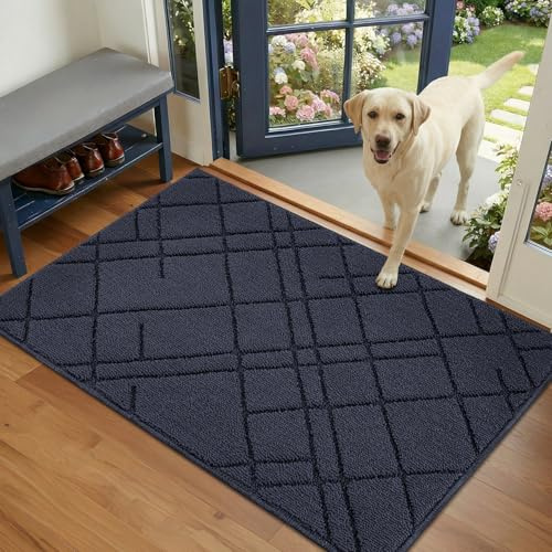 Biscpro Indoor Doormat,60x90cm Welcome Mat,Non-Slip Absorbent Door Mat,Rubber Backing Dirt-Trapping Front Door Mat,Washable Low-Profile Stylish Mat for Entrance,Kitchen,Garden,Laundry Room(Blue)