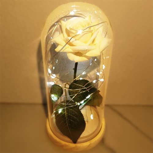 uniqicon Galaxy Artificial Flower Rose Beauty and The Beast, Eternal Present, Dome, Romantic Gift for Her Women Wife Grandma Nan Girlfriend Sister Daughter Mother's Day, 101781128_1FW|NoEngrave