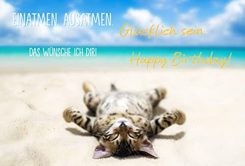 Edition Seidel Premium Geburtstagskarte mit Goldprägung und Umschlag. Glückwunschkarte Grusskarte Billet Geburtstag Karte Happy Birthday Mann Frau Coole Katze Sprüche Humor Lustig (G3327 SW023)