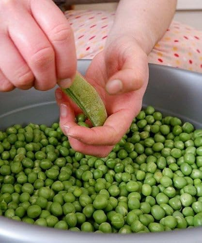 Pisello Nano, Pisum Sativum, Semi di Pisello ottimi da consumare freschi e da surgelo 100g