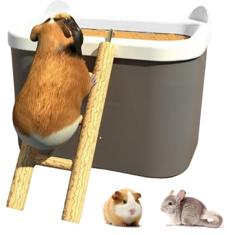 Baño de para Hámster Accesorios de enriquecimiento para jaula