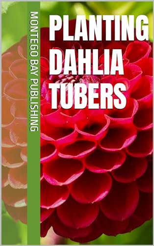 Planting Hardy Dahlia Tubers (Growing Fresh Flowers)