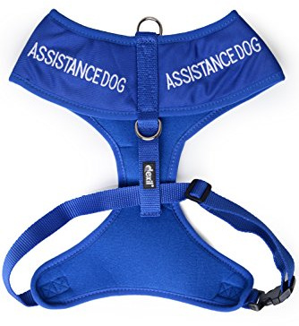 Dexil ASSISTANCE DOG Colour Coded Non-Pull Front and Back D Ring Padded and Waterproof Vest Dog Harness PREVENTS Accidents By Warning Others Of Your Dog In Advance (S)