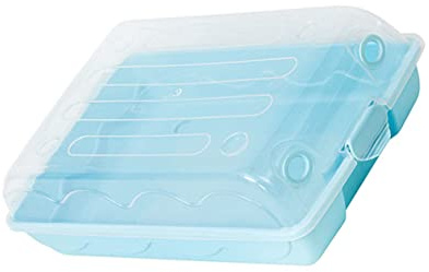 PRETYZOOM Caja De Zapatos De Plástico Caja De Almacenamiento Resistente para Guardar Mocasines Estuche para Zapatillas para Organizar El Hogar Armario
