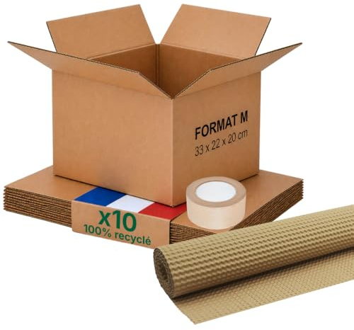 Caisse carton emballage colis M - Lot de 10 + protection papier + adhésif papier - 31 x 22 x 20 cm - Renforcé - 100% recyclable - livres, accessoires, e-commerce - Life Pack