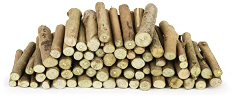 Wooden branch stumps | 250 gram pack (Approximately 60 stumps) | Natural crafts