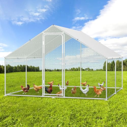 Jopassy Enclos Extérieur pour Poulailler et Petits Animaux - 3 x 3 x 2 m - en Acier Galvanisé - Cage à Oiseaux et Animaux Domestiques