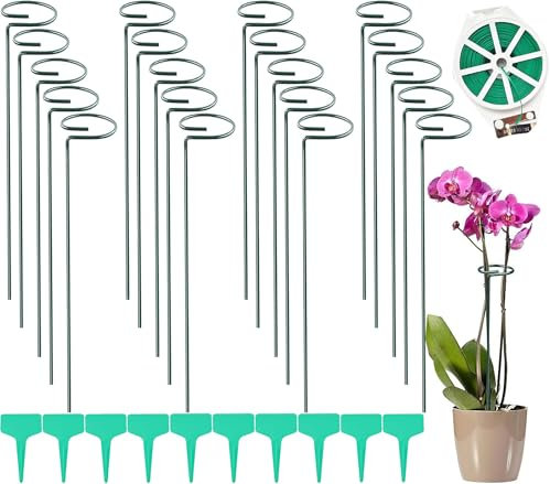 Supporto per piante, 40 cm, 20 pezzi, supporto per fiori, piante perenni, in acciaio, con anello per fiori, gigli, peonie, rose, pomodori