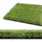 Herbe synthétique 30 mm pelouse verte synthétique herbe artificielle coupable drainant modèle Herbe 2 x 3 m