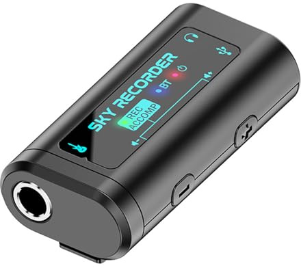 Dictaphone numérique avec transcription et lecture de l'appareil vocal, son pour instrument de musique