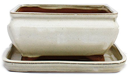 Exotenherz - Bonsai-Schale mit Unterteller Gr. 2 - hellbeige - eckig - Modell G81 - L 14,5cm - B 11,5cm - H 6,5cm