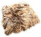 Rohn Moden Sitzkissen, Sitzauflage Schnucke aus echtem hochwolligem Lammfell für Stuhl, Rollstuhl, Katzenbett, Hundebett und Dekoration - Kuscheliges und vielseitiges Accessoire in Cappuccino