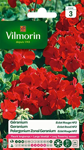 Vilmorin 5464043 Géranium, Rouge