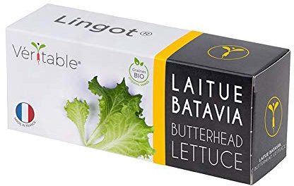 Lingot® Laitue Batavia BIO - Compatible Potager d'Intérieur Véritable® et Exky® - Recharge prête à l'emploi - Substrat avec Graines Intégrées