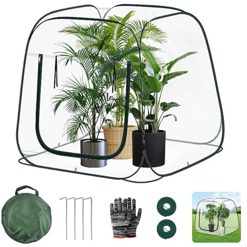 Gewächshaus Foliengewächshaus 100x100x97cm,Pop Up Gewächshaus Zelt Winter,Pflanzenhaus Winterfest,Pflanzenschutz Gewächshaus Winterfest,Treibhaus Gewächshaus,Frostschutzzelt für Pflanzen Frostschutz