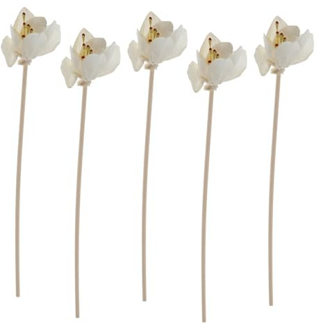 Alipis 1 Juego Flor De Hierba Tong Recambios De Difusor Poseedor Humidificador Difusor De Aroma Claro Batom Ambientador Palos De Aroma Vides De Ratán De Aromaterapia Rota 5 Piezas