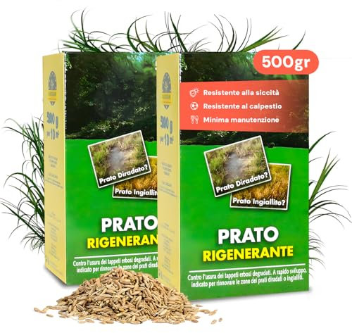 Avilia Semi per Prato Rigenerante - 500g – Sementi per Prato Resistenti alla Siccità, Erba a Ricrescita Rapida e Densa, Rigenera Prati Secchi e Rovinati - Adatto a tutti i Terreni