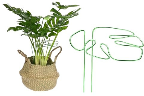 M METERXITY 1-Pack Monstera Plant Support, 11x5.9 Inch Reusable Sturdy Alloy Plant Support Stakes Unique Design for Potted Plants Flowers/Vegetables/Indoor Outdoor Climbing Plants [Green]