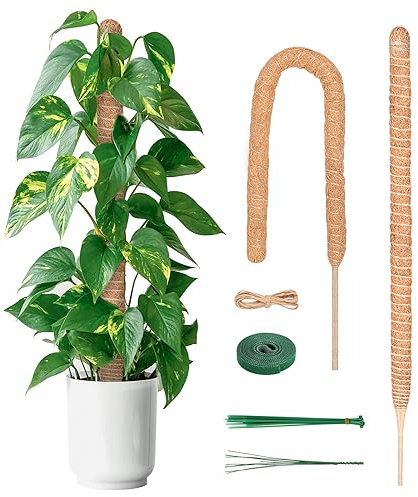 YAUNGEL tutores para Plantas, 2 Piezas de 120CM de Moss Stick, Soporte para Plantas de tótem, Estacas de Coco Apilables, Lazos de 20M para apoyar Plantas de Interior