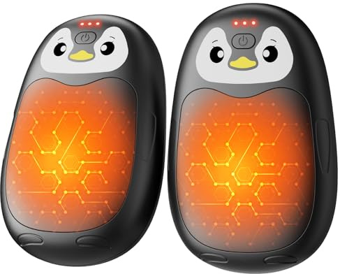 FANDLISS Handwärmer Elektrisch 2er, Taschenwärme mit 8000mAh, USB Taschenwärmer Wiederverwendbar mit 3 Wärmestufen, Winter Geschenke für Frauen Männer Outdoor Camping Sportarten(Schwarz)