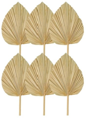 Yssevlon 6 Pièces Feuilles de Palmier Séchées Éventails de Palmiers Séchés Naturels, Grande de Palmier pour Décor de Mariage Boho, Décoration de Feuilles de Palmier Tropicales S