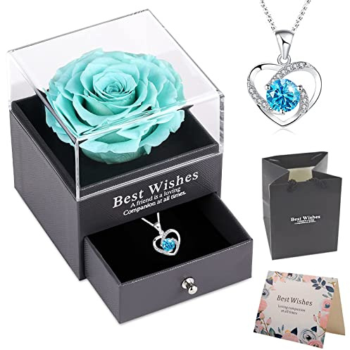 OIOYLEY Real Rosa Eterna, Preservada Rosas Eternas Natural Hecha a Mano con Collar, Románticos Regalo Mujer Mamá Novia Hija, Cumpleaños Aniversario Navidad, San Valentín, Día de la Madre