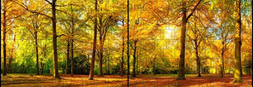 Zaundruck Riesen Panorama Zaun - bedruckte Sichtschutzstreifen für Doppelstabmattenzaun mit großen Panorama Motiv (XL (2 Zaunfelder), Herbst)