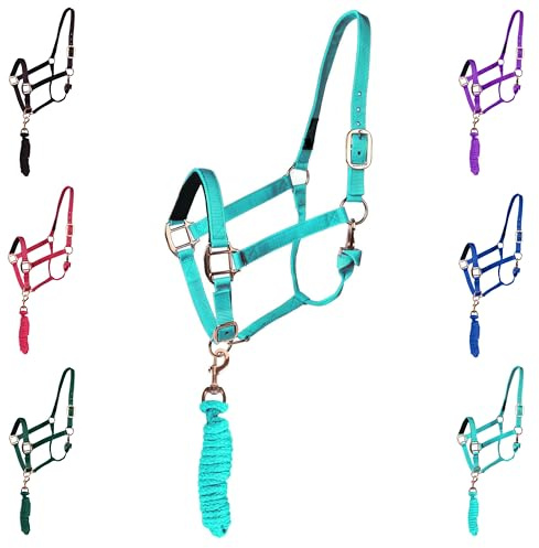 Majestic Ally HeadCollar Halter with Matching Lead Rope for Horses–Adjustable Chin and Crown–Rolled Throat Latch with Replaceable Snap–Padded Noseband–Heavy Duty Hardware–Full (Turquoise, Full)
