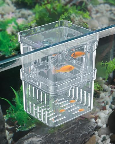 Pawfly Aquarium Fish Breeding Box Transparent Plastic Breeder Box för akvarium Fry Hatchery Incubator Kläckningslåda för babyfisk Liten isoleringslåda för aggressiv fisk Guppy