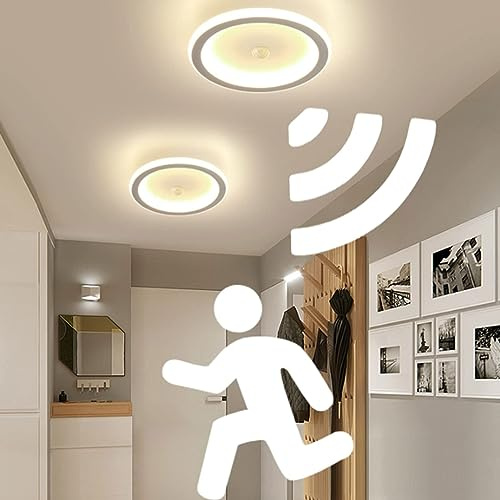 Modern LED Ceiling Light With Motion Sensor, Movement Sensor Ceiling Lamp Ultra thin Small Round Design Light for Entrance Hallway Aisle Stair Office Kitchen, Warm White LED Energy Saving 20W (White)