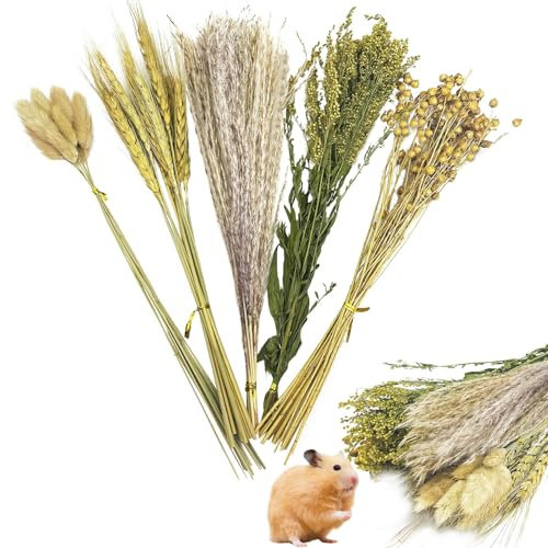 PINVNBY Natürliche Blume & Kräuter Hamster Einstreu Lebensraum Dekor Getreide Meerschweinchen Bettwäsche Hamster Sprays Hamsterkäfig Zubehör für Meerschweinchen Zwerg Syrische Rennmäuse Mäuse Maus