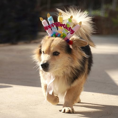 DHER Papillon Di Compleanno Per Animali Del Cappello Della Festa Di Compleanno Set Di Decorazioni Per Feste Per Animali Domestici Cappello Di Compleanno Per Cani Papillon Decorazioni Feste (Colorato)