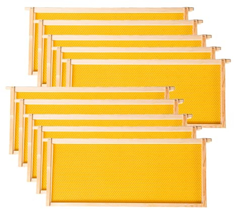 MayBee Deep Brood Beehive Frames with Wax Foundation,10 Pack Honey Bee Frames with 100% Beeswax Coated Food Grade Foundation Sheets, 9-1/8-Inch(Yellow)