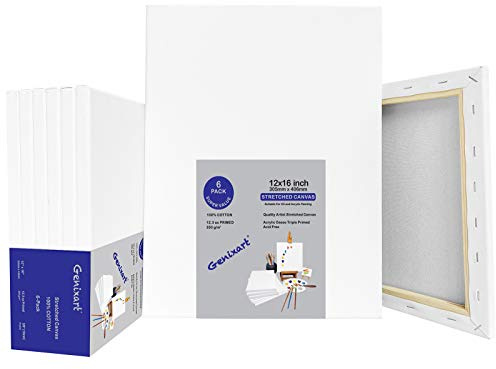 Genixart 30x40cm / 12x16 Inch White Blank Stretched Canvas, Pack of 5, Primed Professional Artist Canvases for Acrylics & Oils Painting (a3)