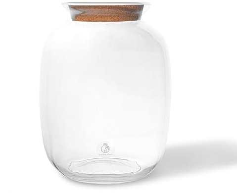 Terrarium Glass Jar with Cork Lid for Plants H: 32 cm, Glass Planter Pot, Closed Terrarium, Office Home Decoration (with Standard Lid, Glass Only)