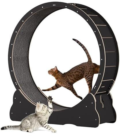 Keyzone Laufrad für Katzen - 100cm Laufband mit Teppichboden, Fitnessgerät zur Gewichtsabnahme, Sportspielzeug für Ein Längeres Leben der Katze
