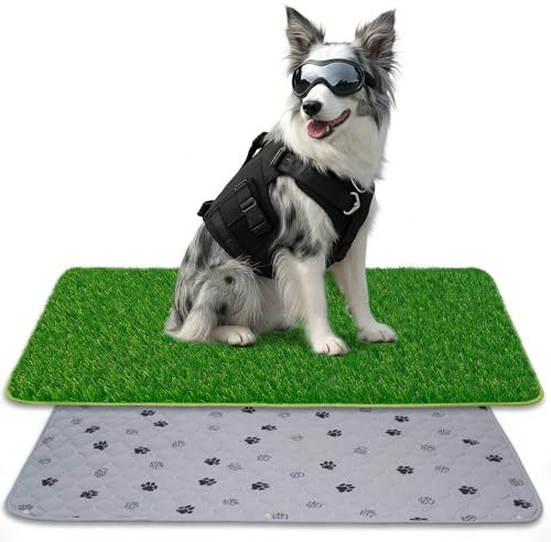 SSRIVER 60*90CM 2-in-1 Pinkelmatte für Hunde Hundeklo Hundetoilette Welpentoilette mit Kunstrasen Hundeklo für Zuhause Hundetoilette Wohnung - Idealer Hundetrainingsplatz für Innen- und Außenbereiche