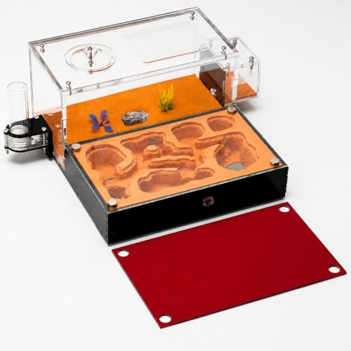 Rimsunta Ant Nest Formicarium for Live Ants and Queen – Extra-Large Clear Habitat for Adults