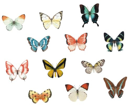 Ipetboom 12 piezas Pegatinas Anticolisión para Ventanas Pájaros Calcomanías Estáticas sin Adhesivo Reutilizables Decorativas y Delicadas para Protección de Aves