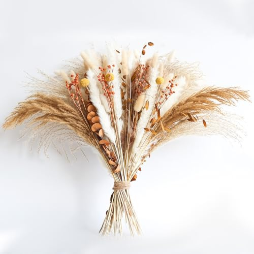 Pampa essiccata (B) PatNlevs Erba della Pampas Decorative, Fiori Secchi Decorativi per Vaso, Decorazione Naturale fai da te Tavolo Boho, Pampas Grass Decorazioni per Matrimoni, Soggiorno, Home