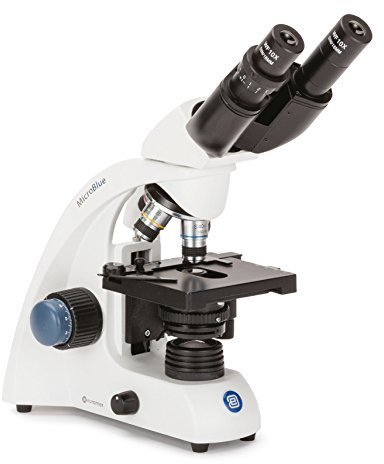 Microscopio binocular acromático Euromex MicroBlue 1152 40x-1000x