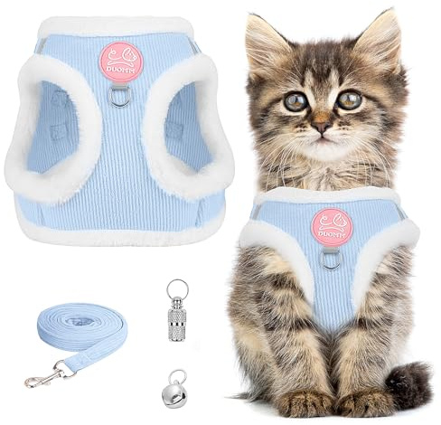 Ensemble de harnais anti-éclatement pour chat - Harnais de poitrine avec réfléchissant - Laisse pour chat - Harnais pour chat avec laisse - Harnais pour chat - Chatons et chiots (bleu, M)