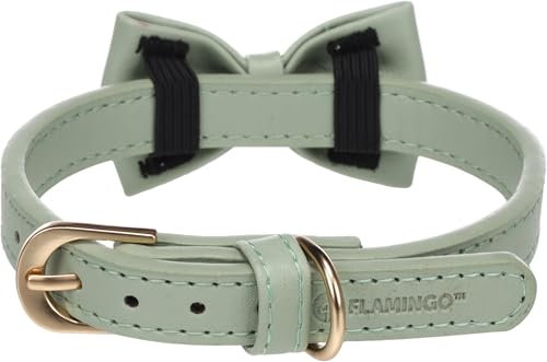 Flamingo Halsband mit Schleife NELA Mintgrün – S | 29-35 cm x 15 mm x 4 mm, Qualitätsleder, Stilvoll und Praktisch – Ideal für Chihuahua, Toy Poodle, Miniature Schnauzer, Dachshund, Silky Terrier
