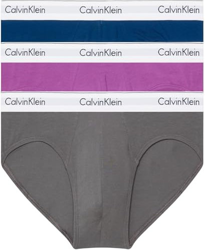 Calvin Klein Men Hip Briefs Stretch Cotton Pack of 3, Multicolor (Eiffle Tower Poisidon Dahlia), S