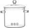 BEAHING Glass Pots For Cooking On Stove, Glass Pot, Clear Glass Simmer Pot 3L Large Cookware Stove Top Safe Borosilicate Saucepan with Integrated Handles, Glass Pots for Cooking