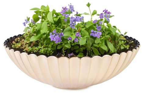 matches21 Pflanzschale für draußen - 28 cm große Dekoschale Champagner Gold geriffelt als Blumentopf Pflanztopf - runde Blumen-Schale für Garten, Balkon oder Friedhof als Grabschale