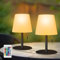 paotaoli LED Akku Outdoor Tischlampe mit 16 Farbens Fernbedienung Akku Outdoor Lampe kabellos Tischleuchte Aufladbar Tischlampes für außen garten schlafzimmer camping ostern Tisch dekoration